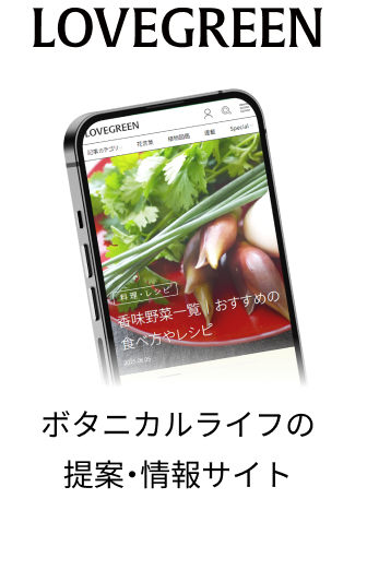 ボタニカルライフの 提案・情報サイト