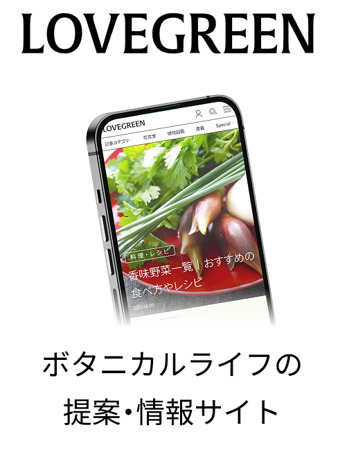 ボタニカルライフの 提案・情報サイト